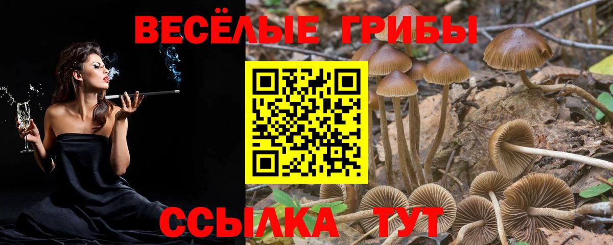 Псилоцибиновые грибы Psilocybine cubensis Первоуральск