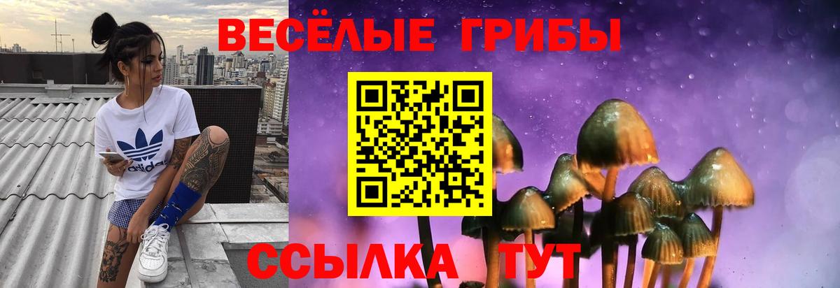 Псилоцибиновые грибы GOLDEN TEACHER  Вход с VPN  Галлюциногенные грибы Cubensis  Первоуральск 